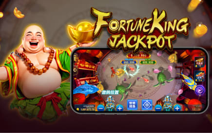 pinnacle instant copy download