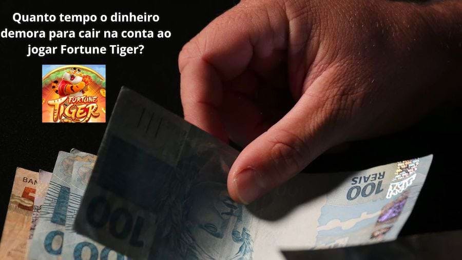 casa de apostas brasileiras