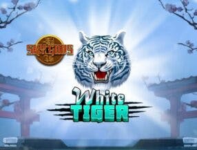 jogo de bolinha grátis