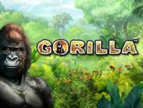 jogo de cartas ciganas
