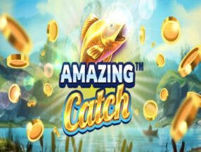 calendário slots