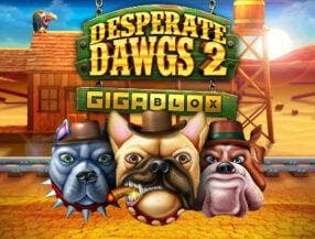 tiger jogo aposta